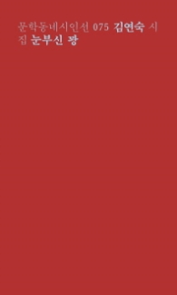 눈부신 꽝 (문학동네시인선 75)